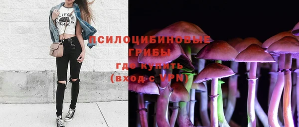 мет Коряжма