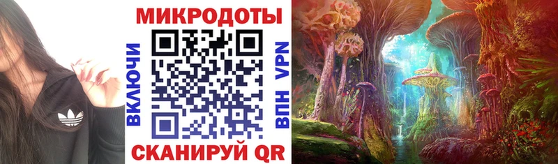 Псилоцибиновые грибы мухоморы  Купить закладки  Тюмень 